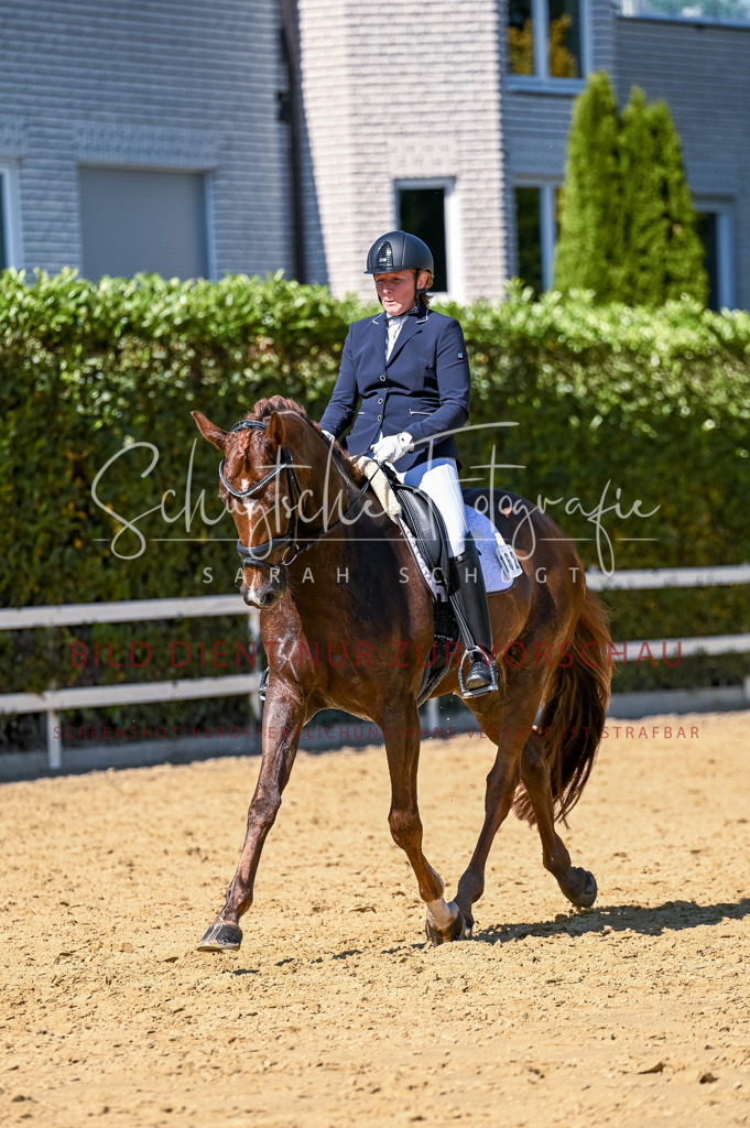 Schugtsche-Aluta25-50.Dressurpferdeprf.L-108 | Schugtsche Fotografie - Realisiert mit Pictrs.com