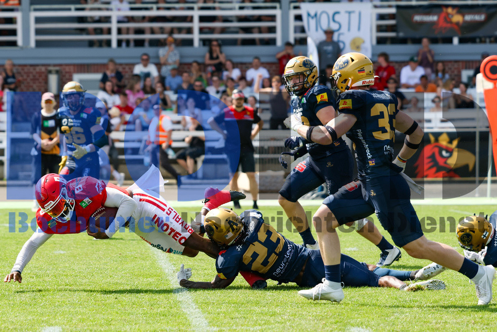 GFL: Potsdam Royals vs. Dresden Monarchs{date} -  | {headline}(Foto: Thomas Sobotzki / BOND) - Realisiert mit Pictrs.com
