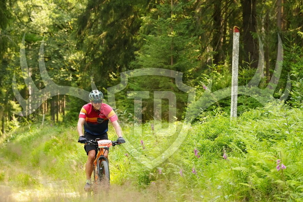 FC103235 | Fotogalerie der Treibjagd im Dunkelwald - Dein MTB Etappenrennen im Erzgebirge - Realisiert mit Pictrs.com