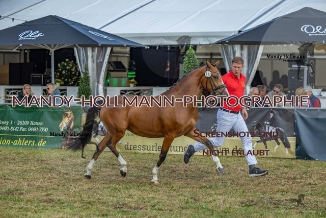 26-8-22 DR I-65 | mandyhollmannphotographie
