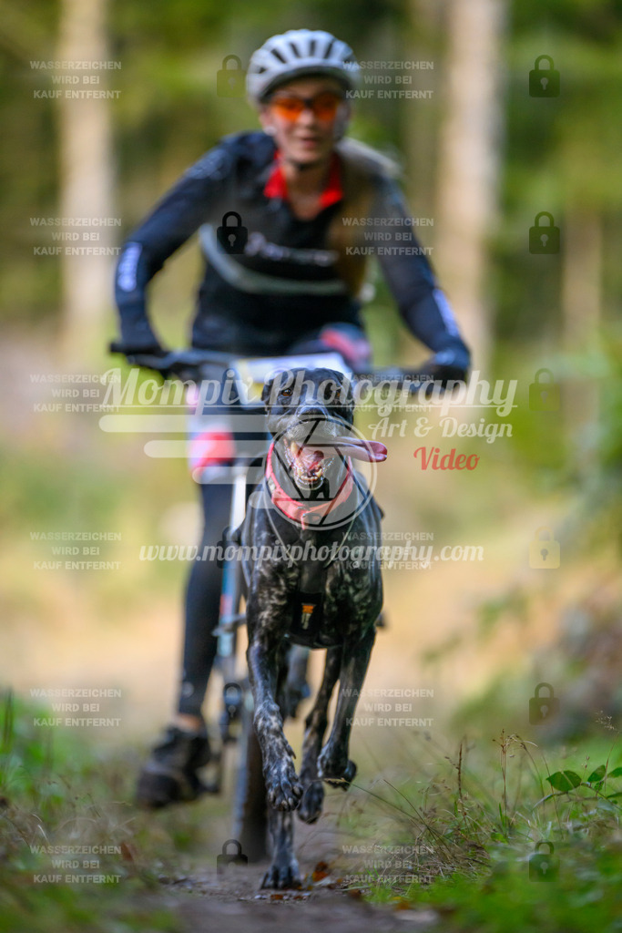 MompixPhotography_Yens2025_B3-39 | PayLife