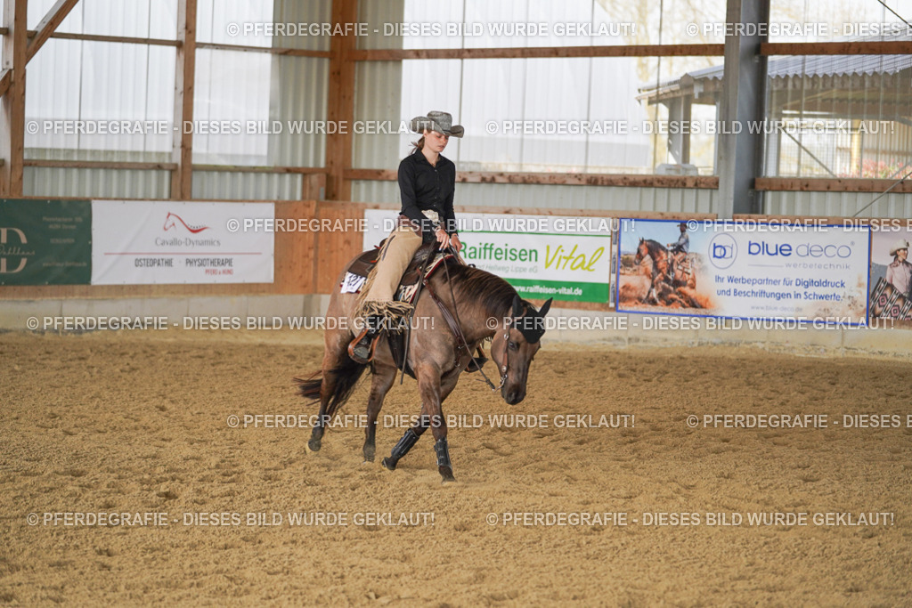 DSC00373 | Pferdegrafie