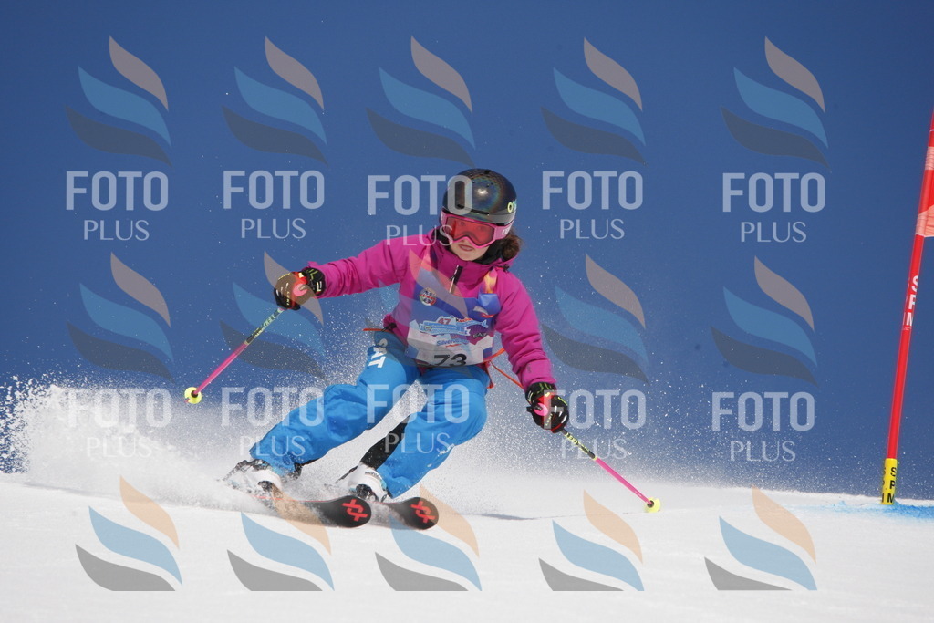 _W1G1074 | holidayphoto