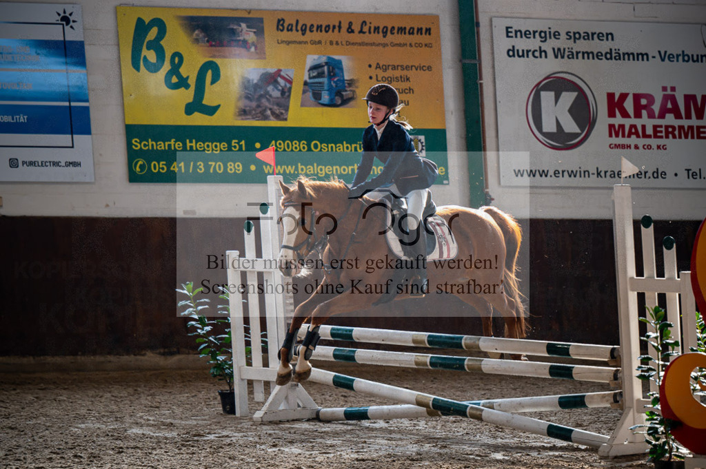 Hallenreittunier Voxtrup 2023 | Entdecke hochwertige Reitturnierfotos von Foto Oger. Professionell, emotional und authentisch – jetzt Lieblingsmomente im Shop bestellen.Deutschlandweite Turnierfotografie. - Realisiert mit Pictrs.com