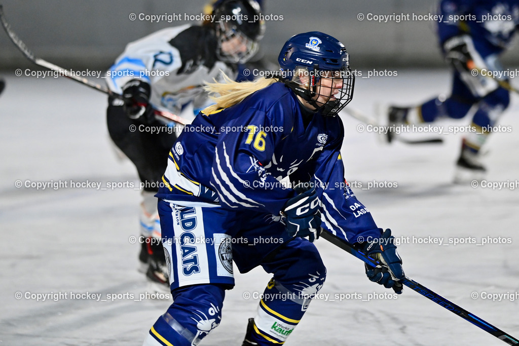 Wildcats Paternion vs. Unicorns Steindorf | #16 Anton Sandra WILDCATS PATERNION, Wildcats Paternion vs. Unicorns Steindorf, Wildcats Paternion vs. Unicorns Steindorf am 02.01.2026 in Paternion (Eislaufplatz Paternion), Austria, (Photo by Bernd Stefan)