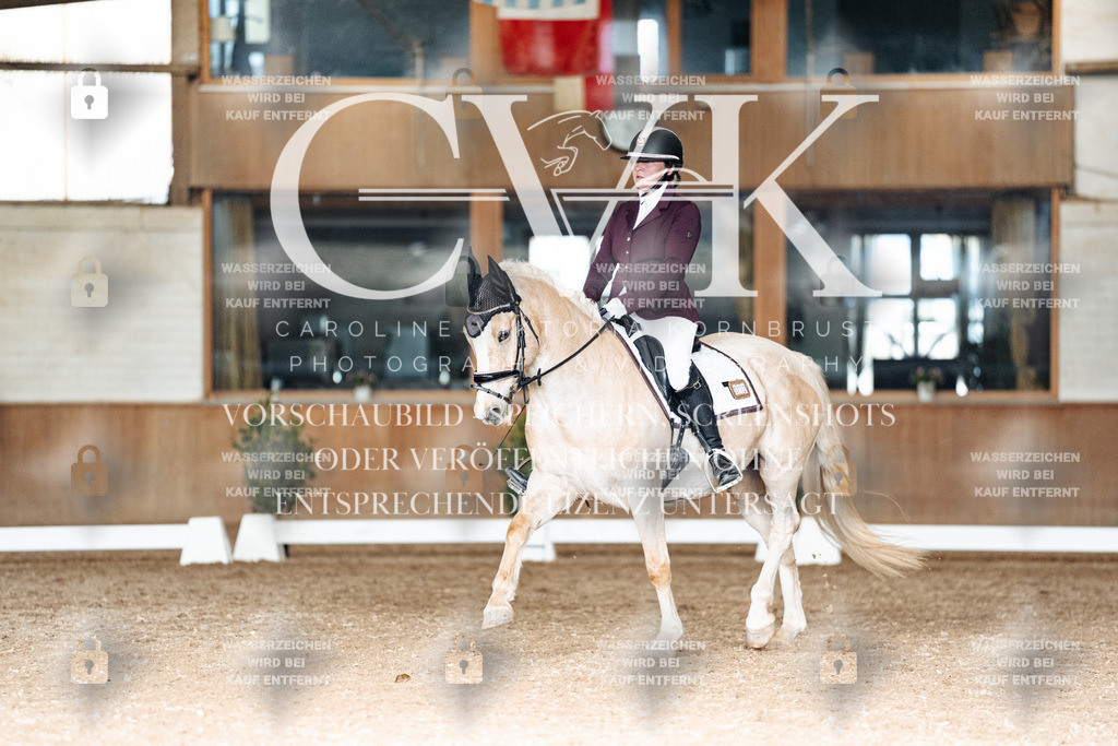 CK902631 | Turnierfotografie Pferdefotografie Trier Rheinland-Pfalz Pferdesport Reitsport Tierfotografie Sportfotografie Pferdevideo Pferdevideografie Equestrianvideography equestrianphotography  - Realisiert mit Pictrs.com