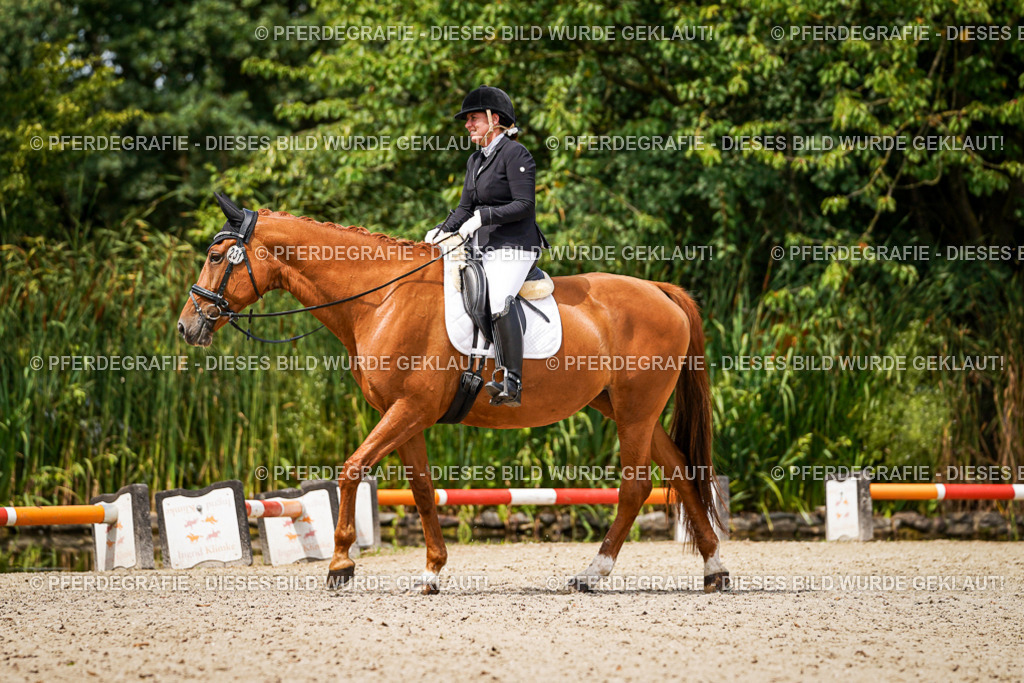 DSC04052 | Pferdegrafie