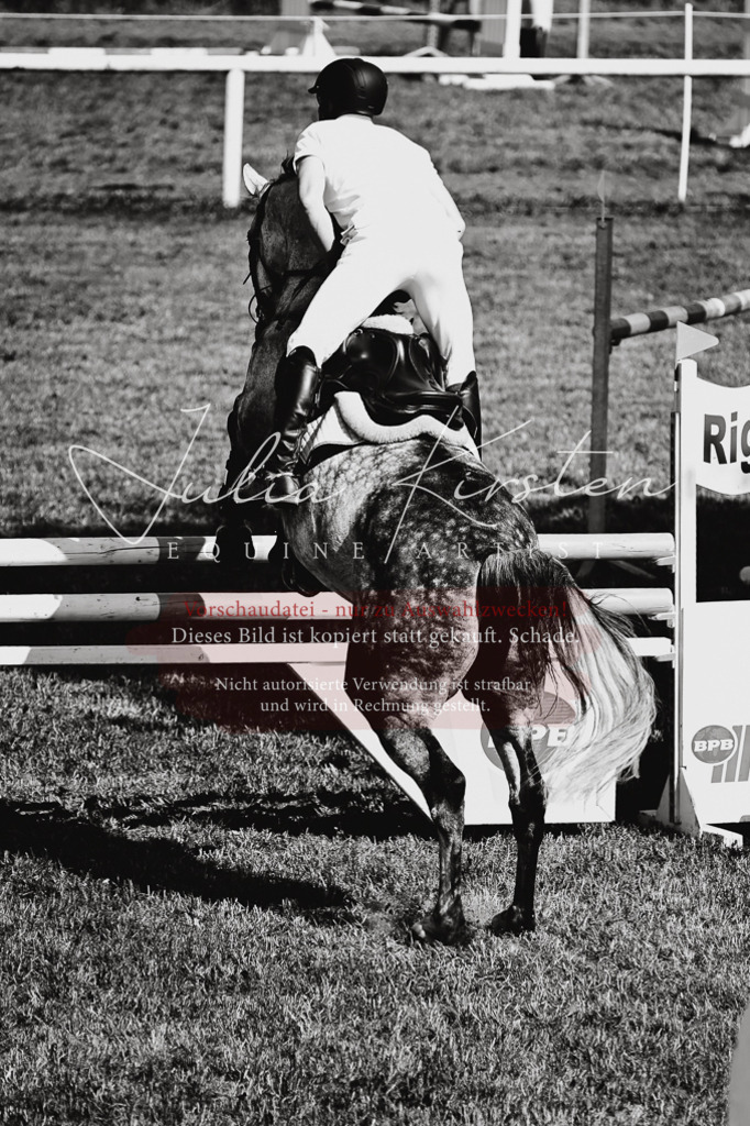 DSC_1874 | Pferde- und Turnierfotografie in Westsachsen. Pferdeportraits, Auftragszeichnungen und intuitive Kunst.