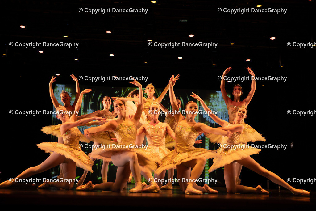 GPHY5309 | DanceGraphy - Realisiert mit Pictrs.com