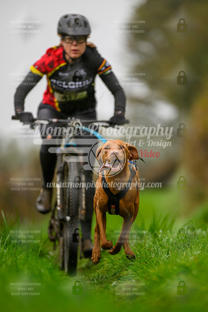 MompixPhotography_20TSB_E8_Bike-74 | PayLife