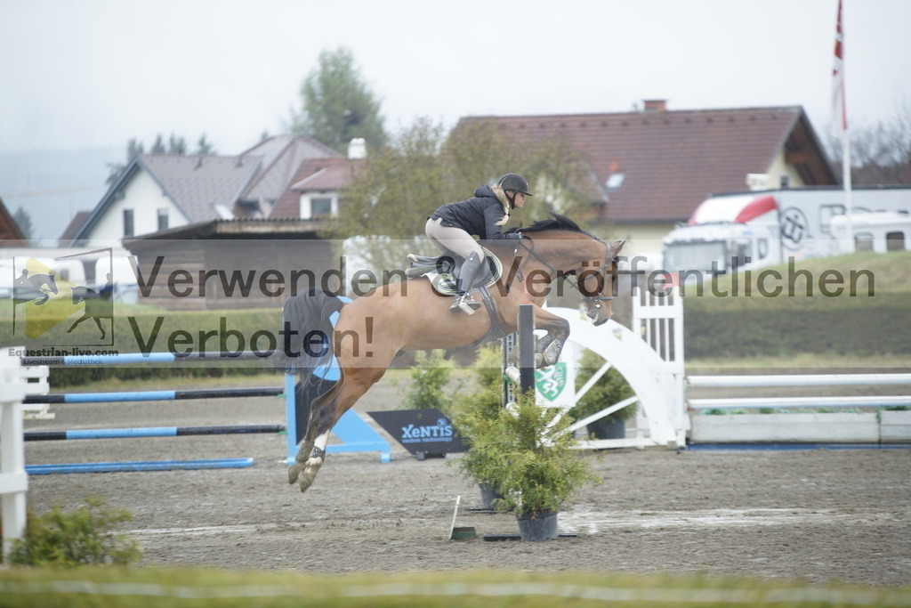 _DSC6301 | equestrian-live-com