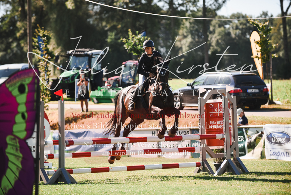 DSC_2552 | Pferde- und Turnierfotografie in Westsachsen. Pferdeportraits, Auftragszeichnungen und intuitive Kunst.