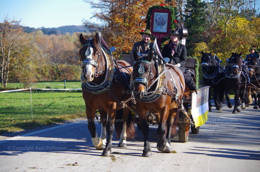 IMGP8281 | fotografiert von Axel PollmannLeonhardi Wallfahrt Benediktbeuern und Murnau, Fronleichnam, Fasching, Landschaft im Loisachtal und Benediktbeuern  - Realisiert mit Pictrs.com