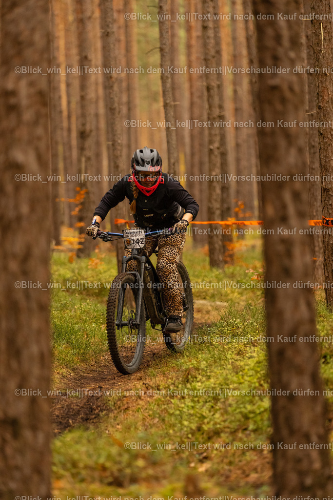 E68A3173 | blick_win_kel