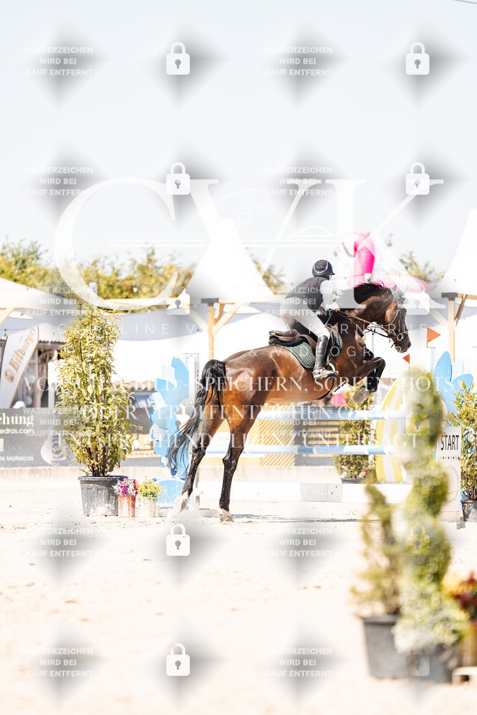 CK909650 | Turnierfotografie Pferdefotografie Trier Rheinland-Pfalz Pferdesport Reitsport Tierfotografie Sportfotografie Pferdevideo Pferdevideografie Equestrianvideography equestrianphotography  - Realisiert mit Pictrs.com