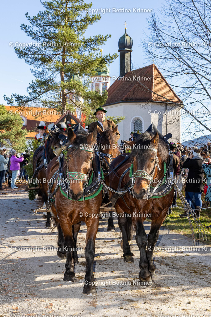 LBT25-1211 | foto-bettina-krinner - Realisiert mit Pictrs.com