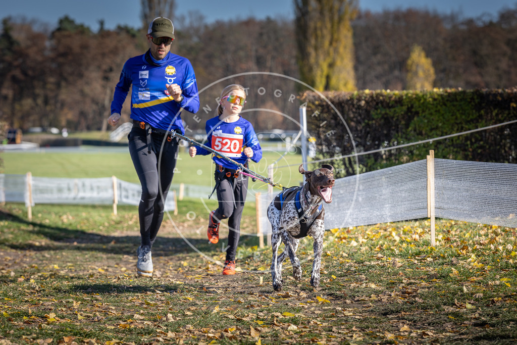 CaniXpix_DV3A8107 | Hundefotografie, Tierfotograf, Pfotenfotografie, Fotoshooting Hund, Hunde Portrait, Hundesport, Hundeportraits, Heideshooting, Hunde, Sportfotograf, Hundefotograf, Turnierhundsport, THS,  - Realisiert mit Pictrs.com