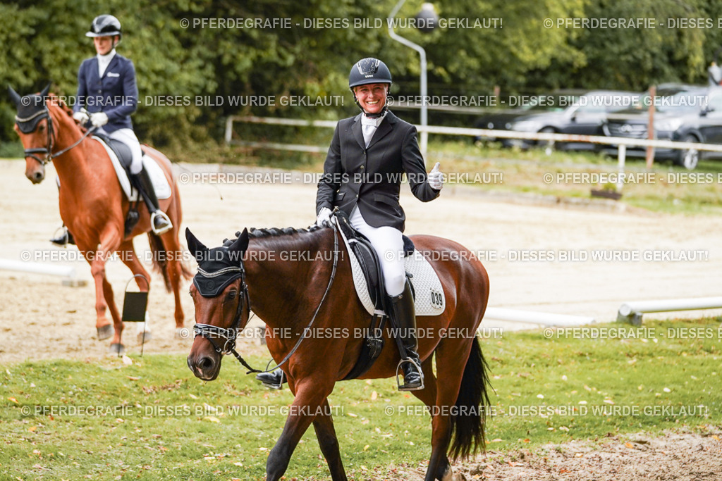 DSC09867 | Pferdegrafie