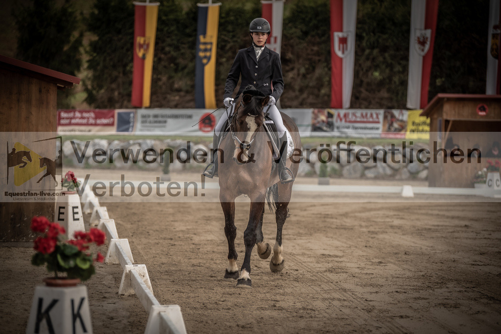 DSC_8331 | equestrian-live-com