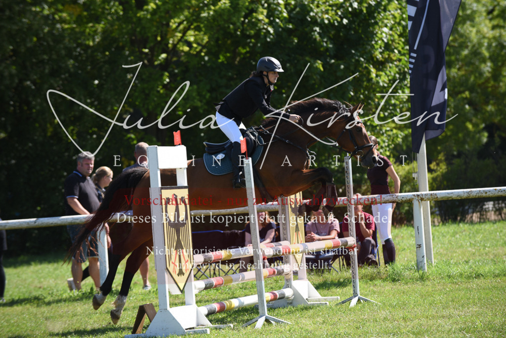 DSC_9339 | Pferde- und Turnierfotografie in Westsachsen. Pferdeportraits, Auftragszeichnungen und intuitive Kunst.