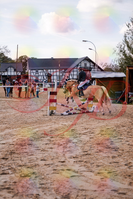 2026_10_03_Siefer-Hof_145325_Z81_33245401 | Professionelle Reitsport-, Turnier- und Eventfotografie von Robert Broda. Galerien mit ausgewählten und bearbeiteten Bildern direkt online ansehen und bestellen.