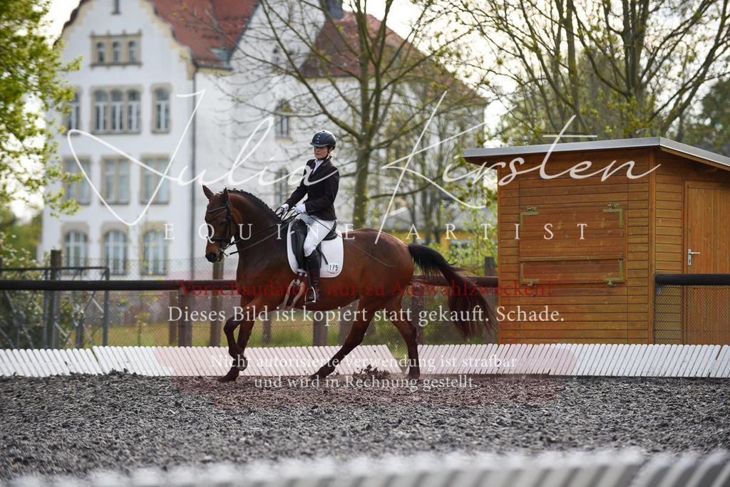 20230513_JK-Röhrsdorf-17-362 | Pferde- und Turnierfotografie in Westsachsen. Pferdeportraits, Auftragszeichnungen und intuitive Kunst.