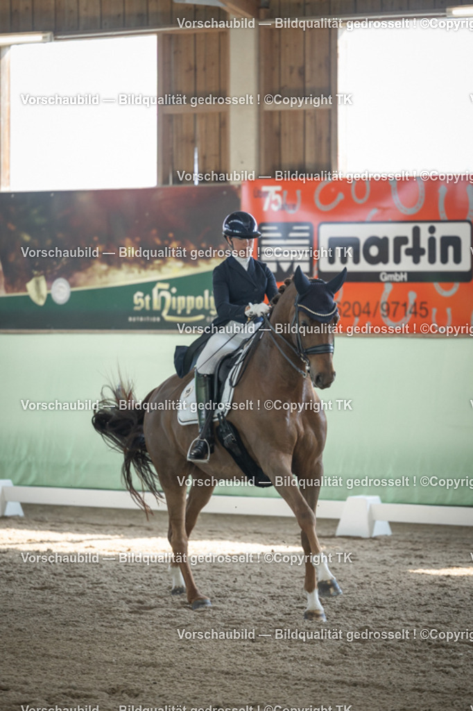 _D5A9651 | Emotionale Pferde- & People-Fotografie rund um Heidelberg, Leimen & Umgebung. Natürliche Fotos von Pferd, Mensch & Familie. Jetzt Termin sichern!