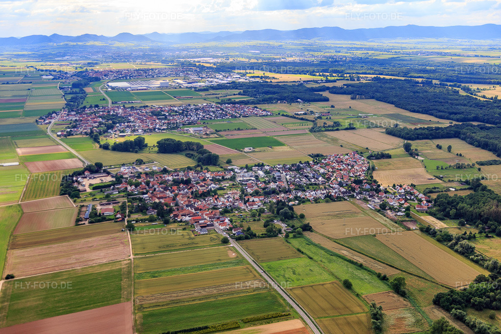 Luftbild: Dorfansicht aus Osten in Knittelsheim im Bundesland Rheinland-Pfalz in Deutschland. Foto: IMG_090054.jpg vom 26.06.2016 durch Werner Riehm/FLY-FOTO.de