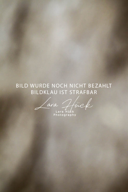 DKP44857 | larahueckfotografie