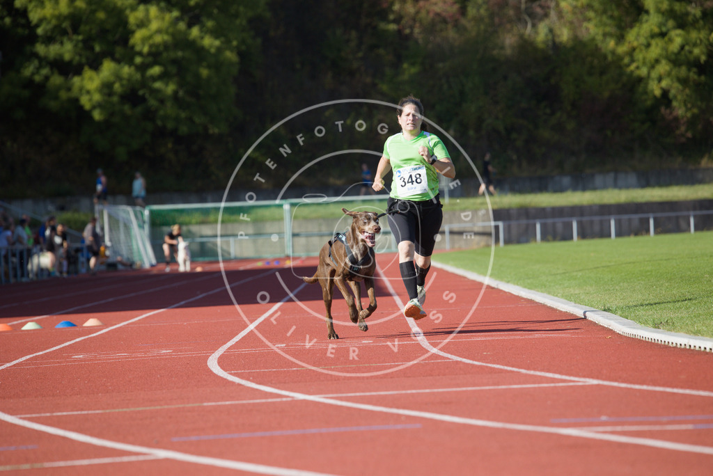 0L8A9318 | Hundefotografie, Tierfotograf, Pfotenfotografie, Fotoshooting Hund, Hunde Portrait, Hundesport, Hundeportraits, Heideshooting, Hunde, Sportfotograf, Hundefotograf, Turnierhundsport, THS,  - Realisiert mit Pictrs.com