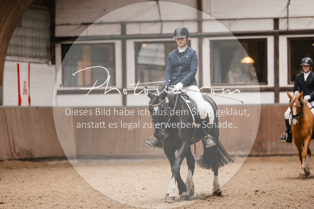 3I6A7936 | Stimmungsvolle Portraits und Reitsportfotografie im Ruhrgebiet und im Münsterland.

Pferdefotografie, Hundefotografie, Tierfotografie, Reportagen, Portraits von Tier und Mensch, Turnierfotografie in Bochum, Recklinghausen, Marl, Haltern am See, Dülmen.. - Realisiert mit Pictrs.com