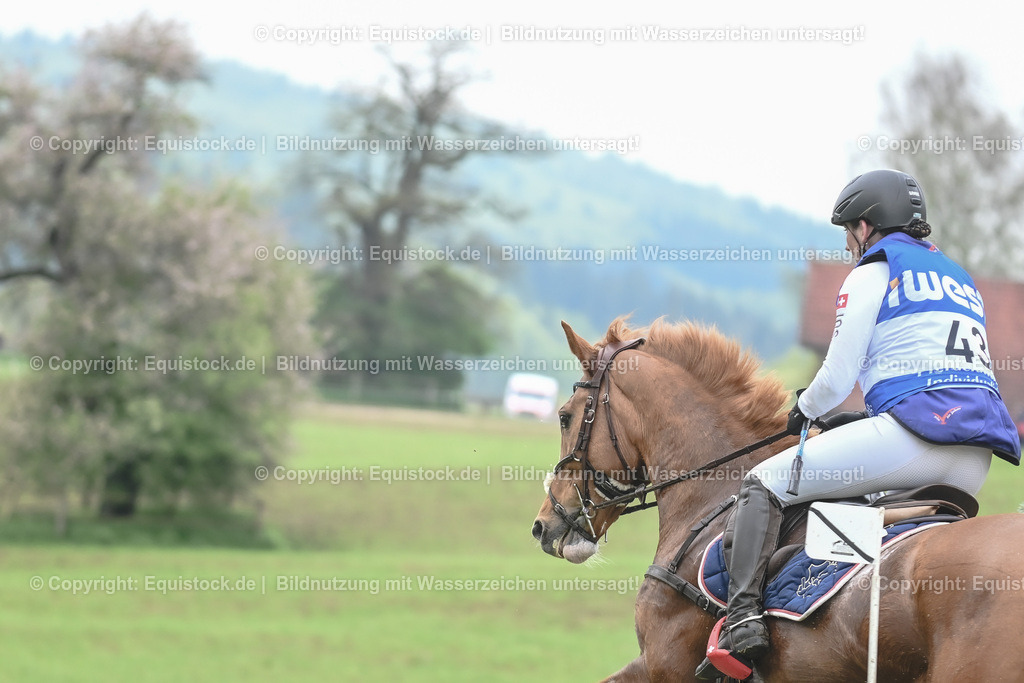 20230513_CCI4_Gelände_0541 | equistock