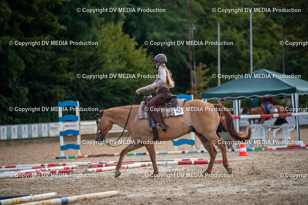 ZS3_9305 | dv-media-shop - Realisiert mit Pictrs.com