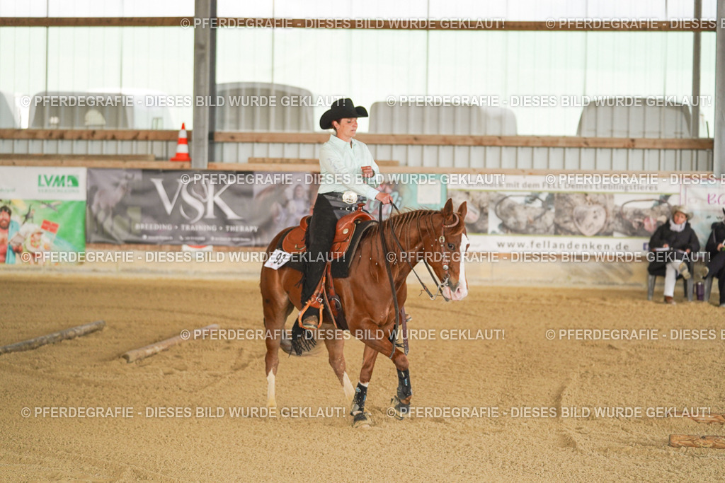 DSC03354 | Pferdegrafie