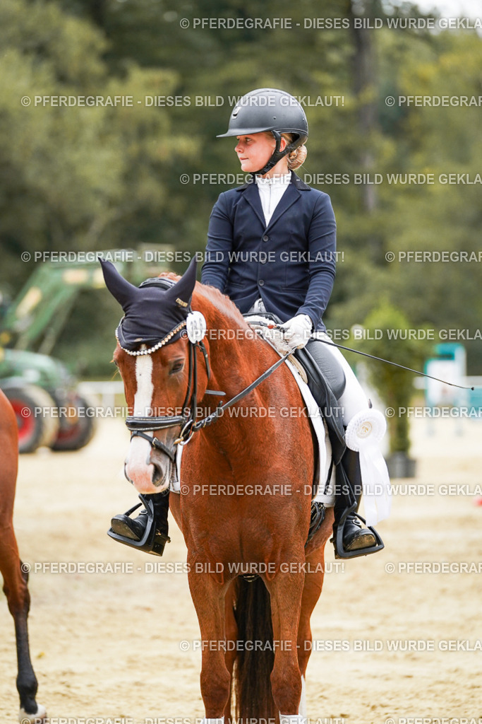 DSC06255 | Pferdegrafie