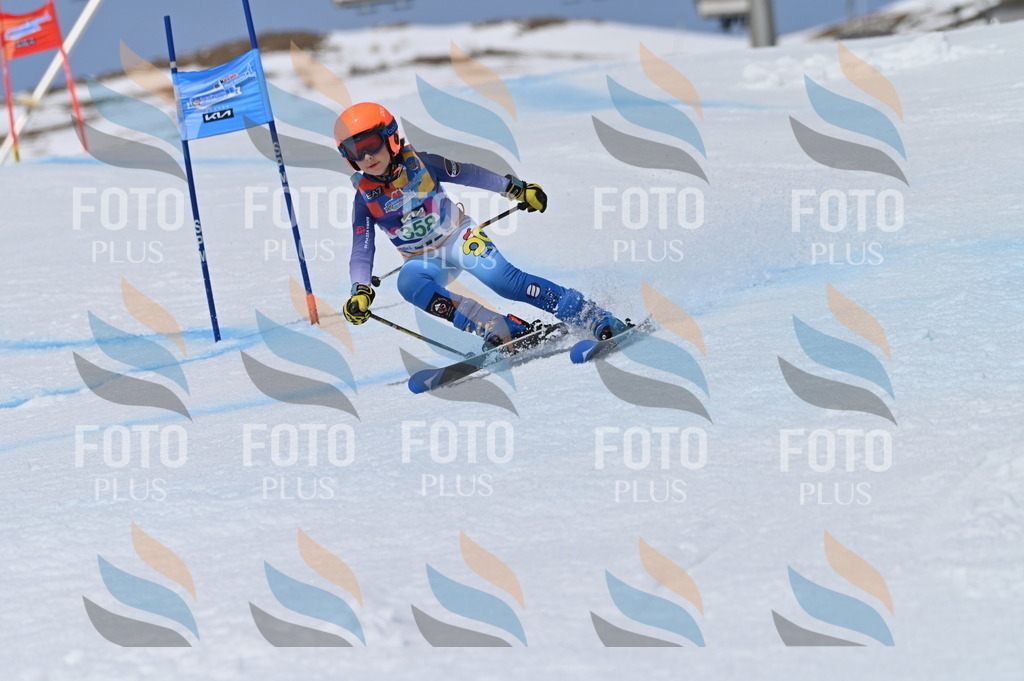 BGV_7073 | holidayphoto