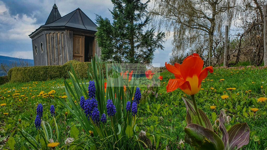 Andreas Kapelle im Frühling | Impressionen rund um Hochfranken - Frankenwald - Fichtelgebirge - Realisiert mit Pictrs.com