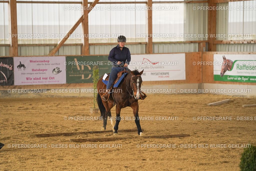 DSC04385 | Pferdegrafie