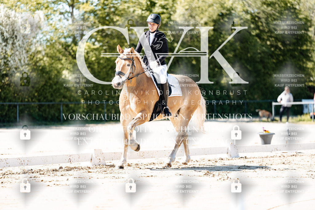 CK904972 | Turnierfotografie Pferdefotografie Trier Rheinland-Pfalz Pferdesport Reitsport Tierfotografie Sportfotografie Pferdevideo Pferdevideografie Equestrianvideography equestrianphotography  - Realisiert mit Pictrs.com