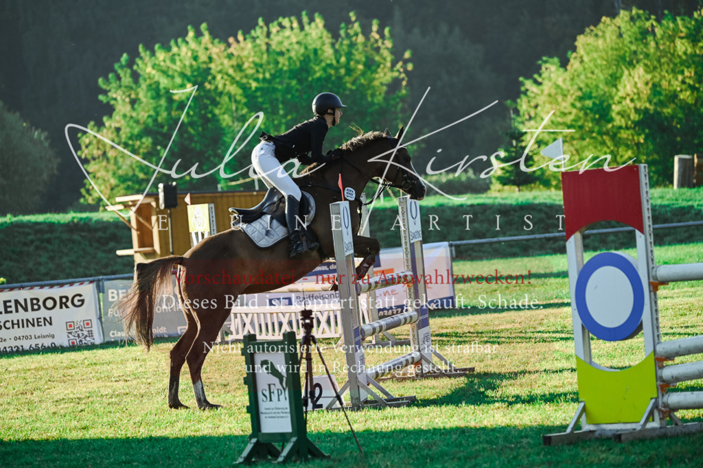 DSC_4003 | Pferde- und Turnierfotografie in Westsachsen. Pferdeportraits, Auftragszeichnungen und intuitive Kunst.