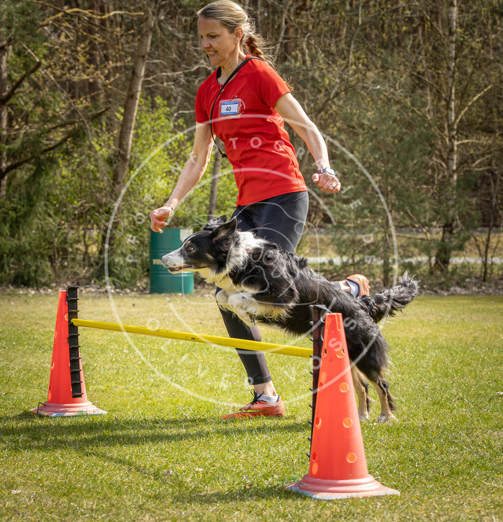 Pfotenfotografie_DV3A6610 | Hundefotografie, Tierfotograf, Pfotenfotografie, Fotoshooting Hund, Hunde Portrait, Hundesport, Hundeportraits, Heideshooting, Hunde, Sportfotograf, Hundefotograf, Turnierhundsport, THS,  - Realisiert mit Pictrs.com