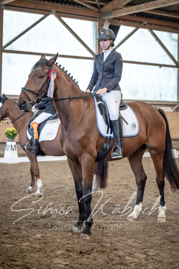 20251011-_3LI7204 | Tierfotografie Pferde, Hunde, Katzen, Haustiere.
Turnierfotografie Reitturniere, Reiten, Springreiten, Dressur in Hanau, dem Main-Kinzig-Kreis und dem Rhein-Main- Gebiet um Frankfurt