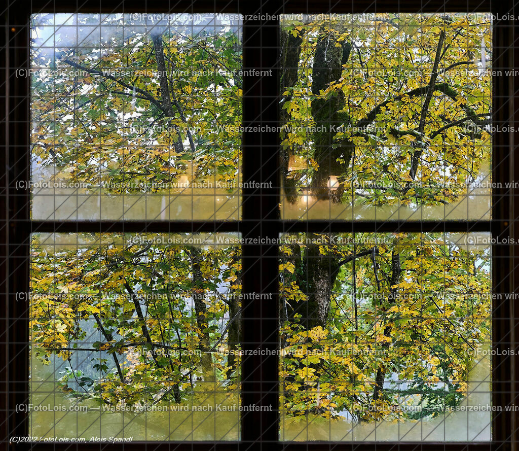 ALP0898_Erntedankfest_Lackenhof-Langau_Herbstblick | (C)FotoLois.com, Alois Spandl, ERNTEDANKFEST Lackenhof/Langau im rothschild´schen Glassalon in Langau/Maierhöfen, So 2. Okt. 2022.