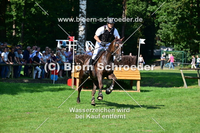 DSP Quickstep W_Bodo Battenberg_884_1040 | Björn Schroeder Pferdefotografie