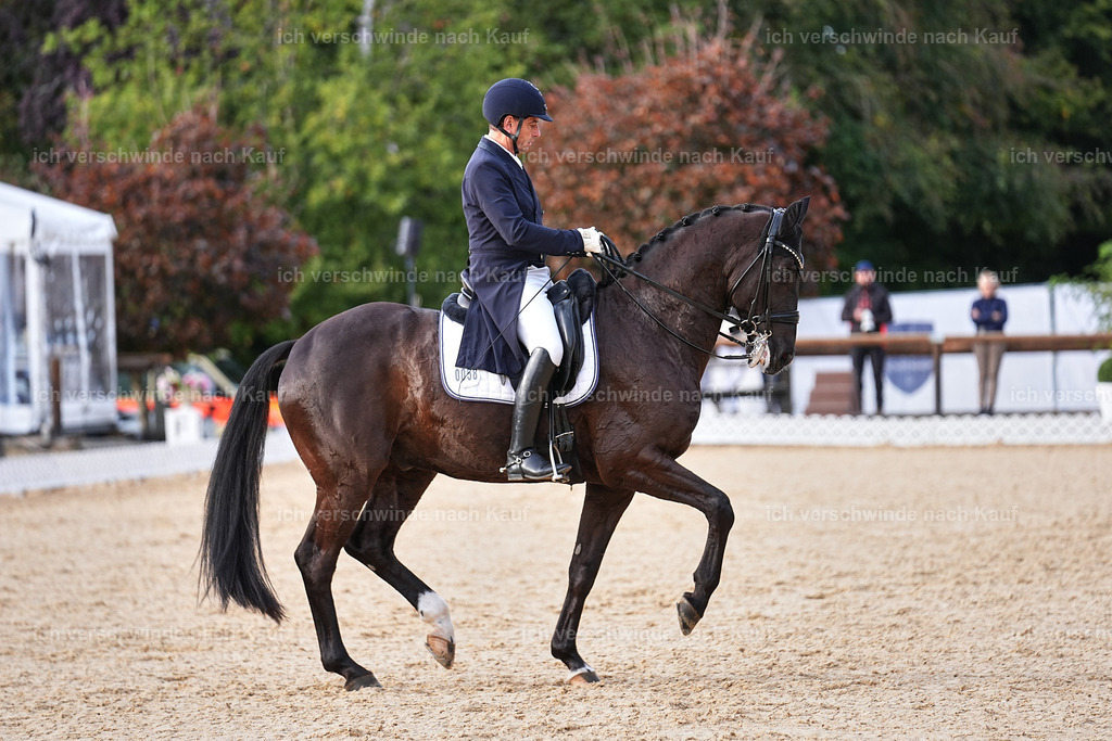 13-058-S___ -Marixx-7075 | working equitationturnier fotograf videograf stoibphotography marixx film working equitation deutschland reitsport turnierfotografie eventfotografie equestrian events