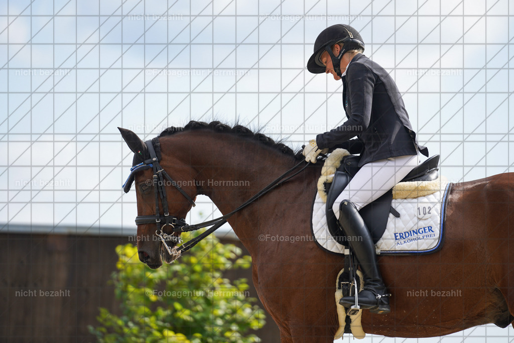 20230826-FAH06134 | Forstinning, 2023, Dressurturnier, Turniersportbilder, Turnierfotografen Bayern, Fotoagentur Herrmann, Reitsportfotografie, Turnierbilder