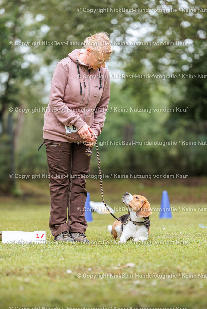RO-Blumenthal-2026-Nickbest-Hundefotografie-4906 | Dein Hund! Dein Moment! Deine Erinnerungen! Hundefotografie in Bremen Blumenthal. Ich fange die besonderen Momente deines Vierbeiners ein – ob Indoor mit Blitzanlage oder in der freien Natur. Sicher dir dein Moment und dein Termin für eure Erinnerungen.