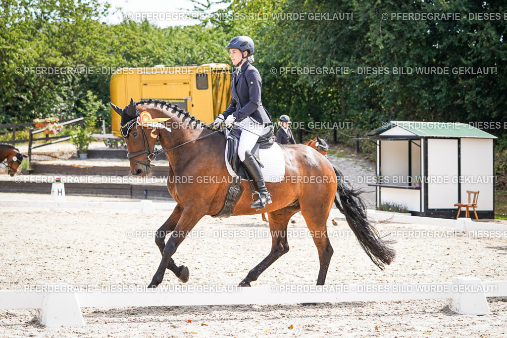 DSC02319 | Pferdegrafie