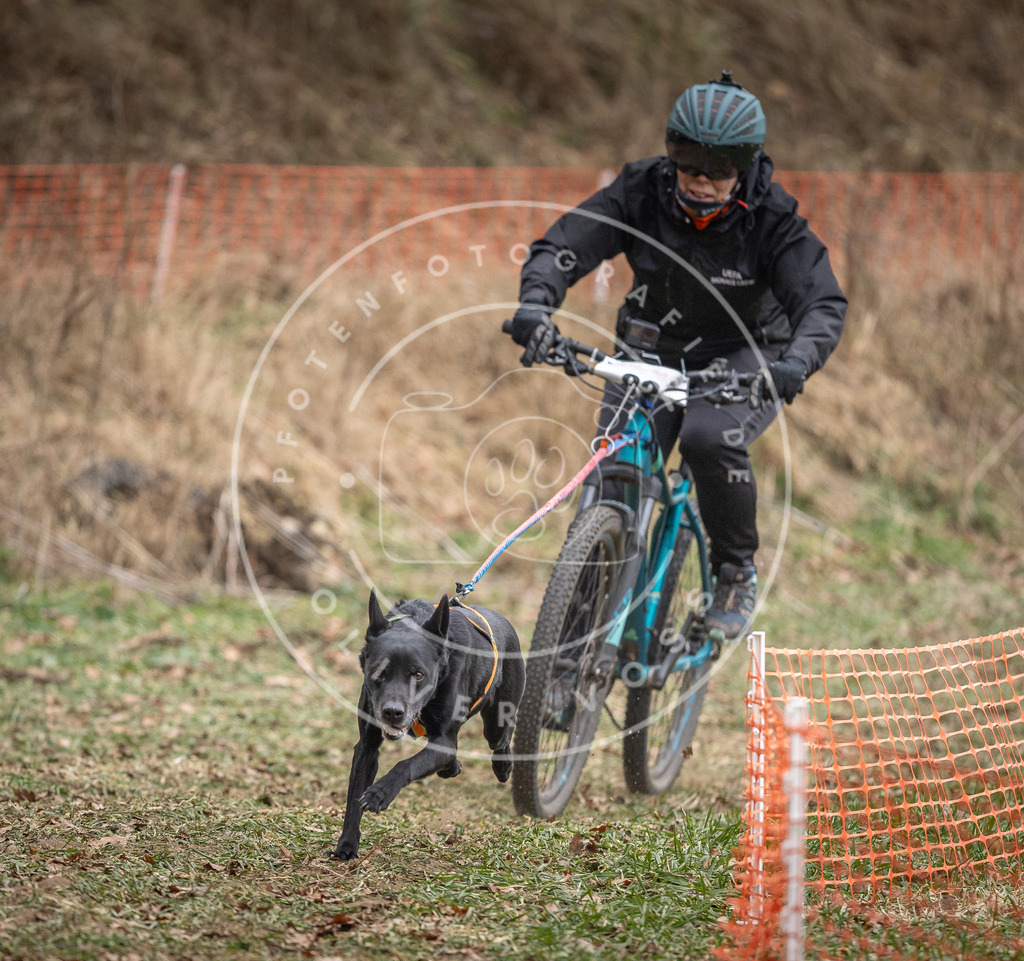 Pfotenfotografie_DV3A5601 | Hundefotografie, Tierfotograf, Pfotenfotografie, Fotoshooting Hund, Hunde Portrait, Hundesport, Hundeportraits, Heideshooting, Hunde, Sportfotograf, Hundefotograf, Turnierhundsport, THS,  - Realisiert mit Pictrs.com