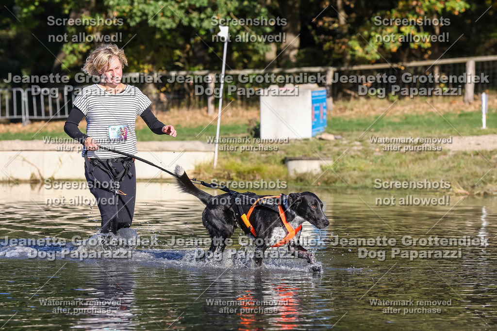 Dog Paparazzi - Strongdog 10-25-8771 | Dog Paparazzi Jeanette Grottendiek Fotografie & Videografie - Realisiert mit Pictrs.com